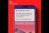 alert